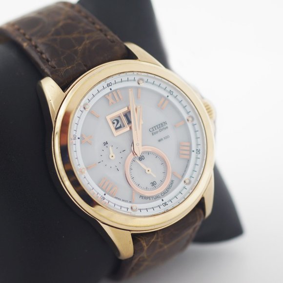 Citizen Calibre E310 Limited Edition Eco-Drive Gold Perpetual Watch - Picture 1 of 5